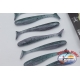 Storm So-Run Makan Minnow 3" Paddle tail cm 7,5 - 7 pz.ST.04