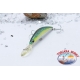 DUEL Künstliche AILE MINNOW, 7cm-6gr. slow sinking, farbe SGM.AR.566