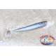 JIG AND SWIM Shad 12 cm-5 pcs. La Filature De La Basse Mer. Réflexe Méné. Aromatisé.AR552