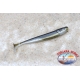 JIG'N SWIM Shad 12 cm-5 pcs. Spinning Sea Bass. Pumpkin Police. Flavored.AR555