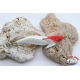 Totanare Yo-Zuri Squid Jig - 10 pz assortite - Bianco