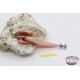 Totanare Yo-Zuri Squid Jig - 10 pz assortite - Anteprima