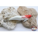 Totanare squ O-Zuri Squidig IG-10 PCs assorted-white