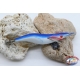 Totanare Yo-Zuri Squid Jig - 10 pz assortite - Bluette