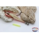 Totanare Yo-Zuri Squid Jig - 10 pz assortite - Vermiglio