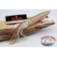 Octopus squid C144-0420o 