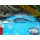 Bleu FO VIB Vibra rap Rapala Finlande 7 g - 1/4 oz. Couleur: argent2