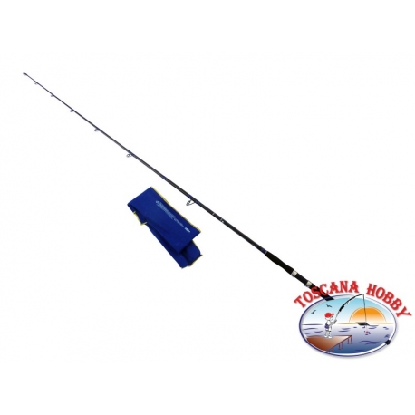 Canna DIP Dyna Big Fish azione 270 grammi 350