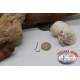 1 Bo Bo 50 pièces, ami Mustad, cod. 3275, n ° 3, Abardeen hooks, FC.B135C