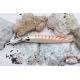 Artificial bait Rapala Magnum CD-18 70gr Sinking RAP.382