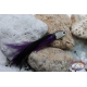 Trolling lures Anchovy head with 14 cm feather