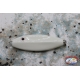 Artificiale Skipping Lures da 11,5cm - 50 gr bianco