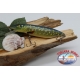 Artificiale Minnow Luccio 11cm-21gr Floating col. picchiettato FC.V433