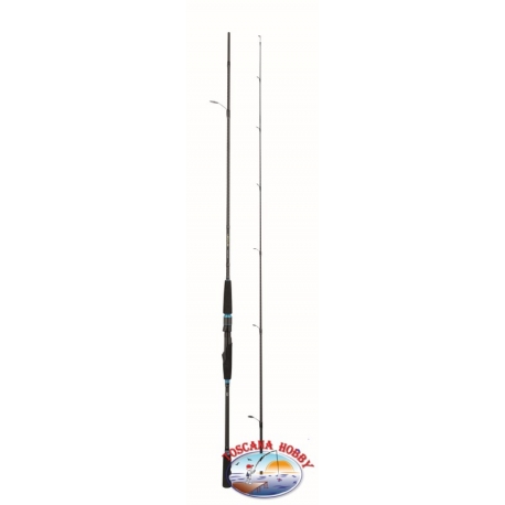 Canna da Pesca Eging Daiwa Legalis Squid 762M-BI