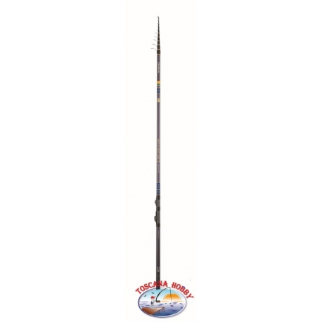 Canna da Pesca Daiwa Megaforce Lake Trout Super Slim 4,15 mt