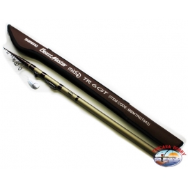 Angelrute Shimano Lake Trout Beast Master TR 6 GT ca.86