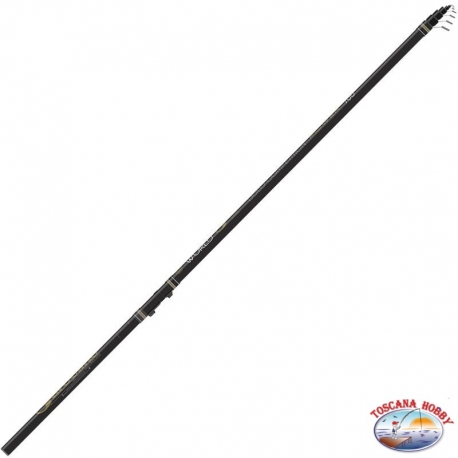 Canna da Pesca Bolognese Garbolino Word G One Bolo Power 6 mt 20 gr