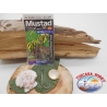 1 Pack 10pcs Mustad cod.34043BLN sz.3/0 avec la couronne FC.A259