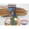 1 Pack 5 pcs Mustad cod.32808NPBLN sz.5/0 crown FC.A269