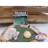 1 sachet de 10 pcs Mustad cod.60126BLN sz.14 FC.A326