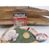 1 sachet de 10 pcs Mustad cod.60332NBR sz.10 FC.A328