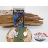 1 bustina da 5 pz ami Mustad storti cod.39121NPBLN sz.4/0 FC.A343