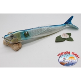 FL NISSING FISH, nisso-ZURI, 39 cm-750 gr über BR.66