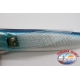 FL NISSING FISH, nisso-ZURI, 39 cm-750 gr ca. FC. BR66