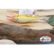 CREVETTES TOTANARE SQUID JIG, Yo-zuri, taille:M, col. d'orange. FC.AR587