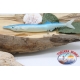 Bass Pro Shops® Flashy Times® Spoon - 1-6 oz.