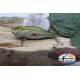 Popperino Minnow Viper, 6cm-8gr, floating, nest, biene, spinning. FC.V460