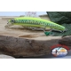 Artificial de Cristal Minnow, Yo-zuri,F7-GHCS, 11cm-11gr, flotante,col.GHCS.AR.33A