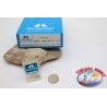 20 cuadro 50pcs anzuelos Mustad, el bacalao.90311, no.22, FC.E18G