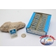 20 cuadro 50pcs anzuelos Mustad, el bacalao.90311, no.22, FC.E18G