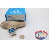 20 cuadro 50pcs anzuelos Mustad, el bacalao.90313, no.22, FC.E19A