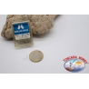 1 caja de 50 piezas Mustad-cod.90311 no.14 FC.B101A