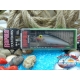 CD DE HUNDIMIENTO pintado RAPALA SIN + 5cm 2 " - 5G 3 / 16oz-detalles